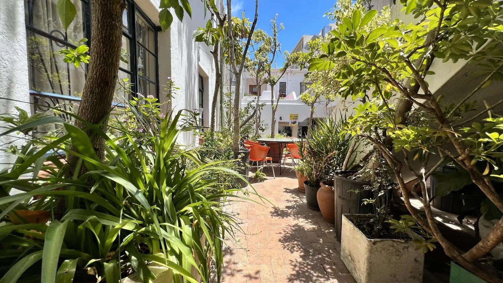 Albergue Long Street Backpackers (Adults Only) Ciudad del Cabo Hostal